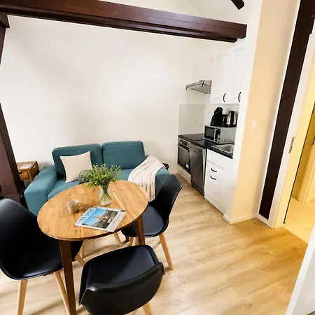 Aparthotel Zelezna - Old Town View Prag